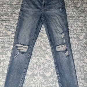 American Eagle Outfitters Light Blue Distressed Skinny Jeans